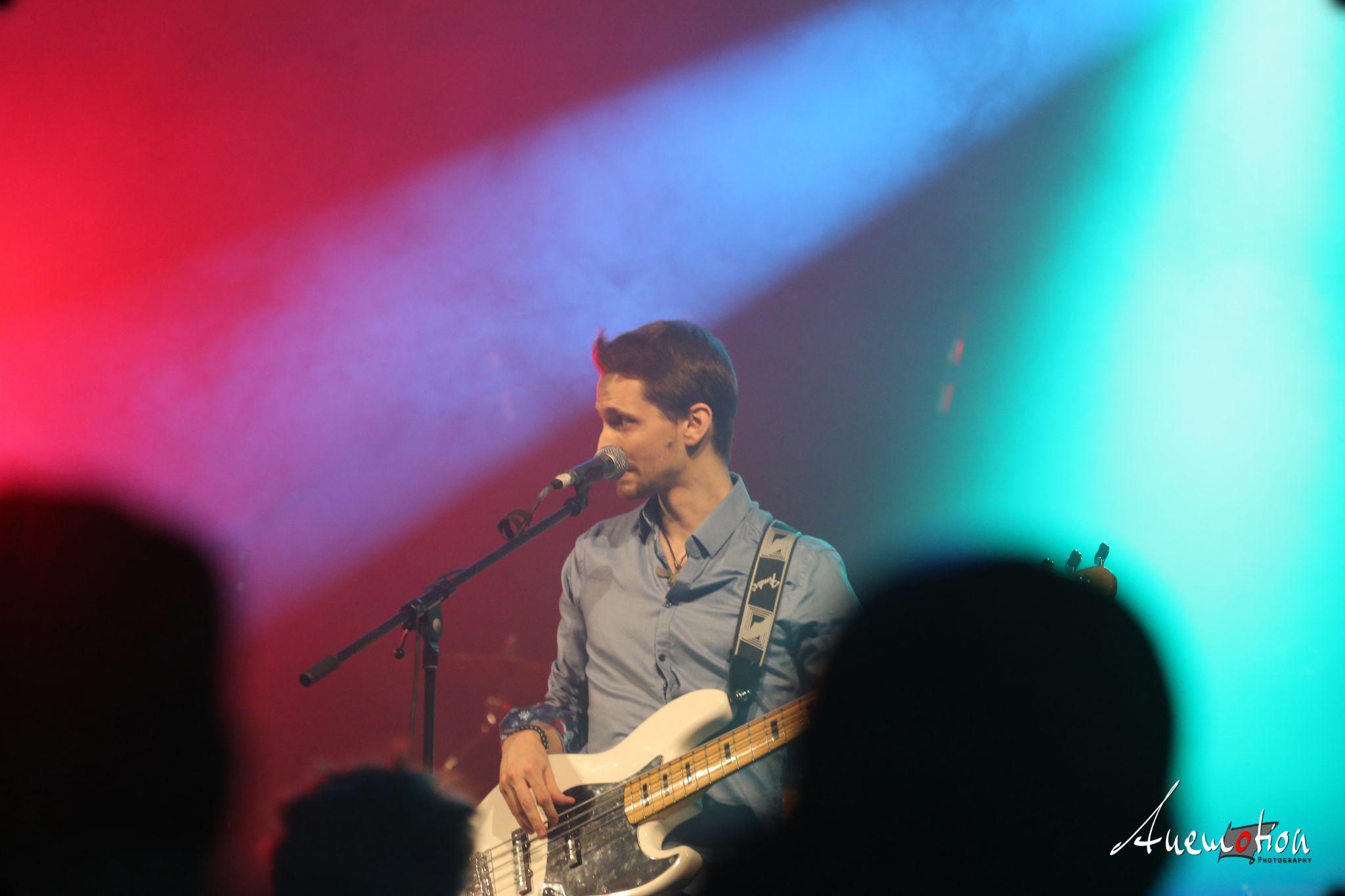 ElephantsFalling (33)